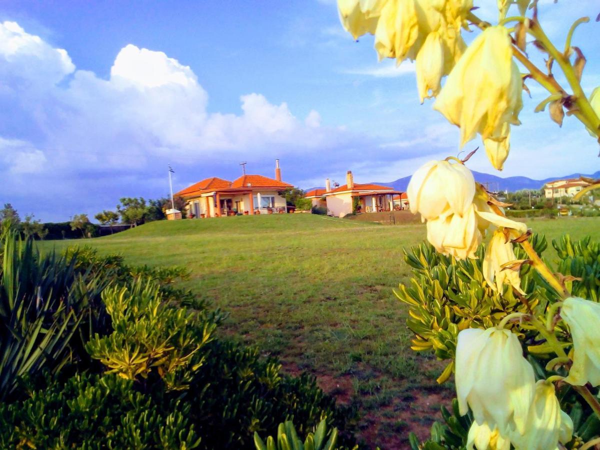 Maronia Villa ภายนอก รูปภาพ